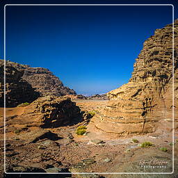 Wadi Rum (14)