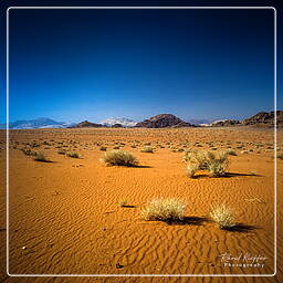 Wadi Rum (15)