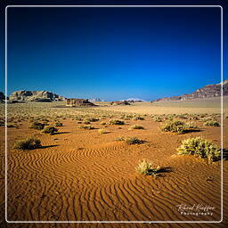 Wadi Rum (16)