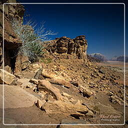 Wadi Rum (19)