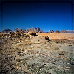 Wadi Rum (20)