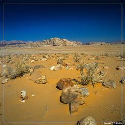 Wadi Rum (28)
