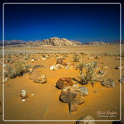 Wadi Rum (28)