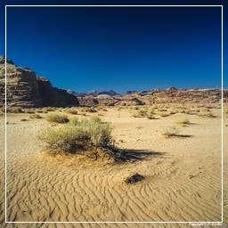 Wadi Rum (47)