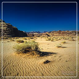 Wadi Rum (47)