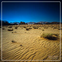 Wadi Rum (49)