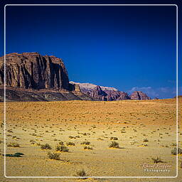 Wadi Rum (50)