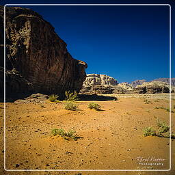 Wadi Rum (51)