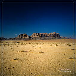 Wadi Rum (52)