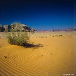 Wadi Rum (53)