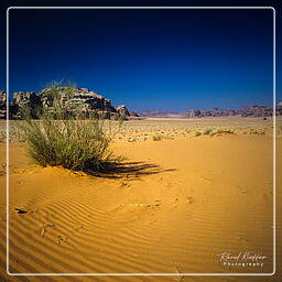 Wadi Rum (53)