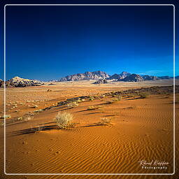 Wadi Rum (54)