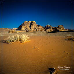 Wadi Rum (55)