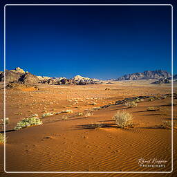 Wadi Rum (56)