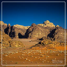 Wadi Rum (57)