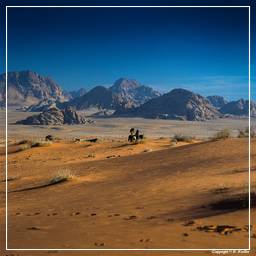 Wadi Rum (58)