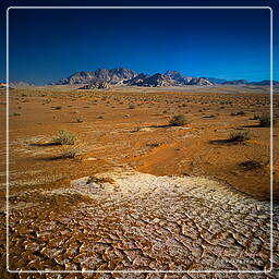 Wadi Rum (59)