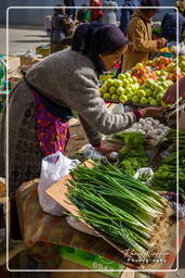 Baïkonour (95) Marché de Baïkonour