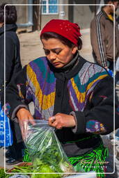 Baikonur (160) Market of Baikonur