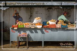 Baikonur (558) Market of Baikonur