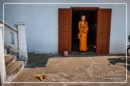 Luang Prabang (99)