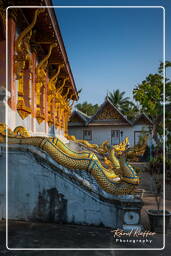 Luang Prabang (161)