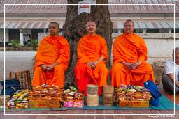 Luang Prabang Aumône aux moines (7)