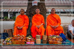 Luang Prabang Almosen für die Mönche (7)