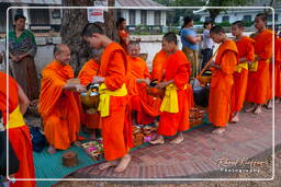 Luang Prabang Almosen für die Mönche (47)