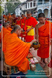 Luang Prabang Esmolas para os monges (109)