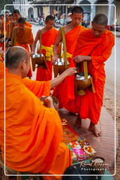 Luang Prabang Limosnas a los monjes (119)