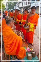 Luang Prabang Limosnas a los monjes (120)
