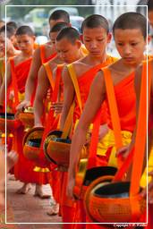 Luang Prabang Esmolas para os monges (150)