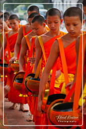 Luang Prabang Alms to the Monks (150)