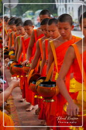 Luang Prabang Limosnas a los monjes (151)