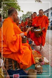 Luang Prabang Aumône aux moines (192)