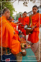 Luang Prabang Esmolas para os monges (205)