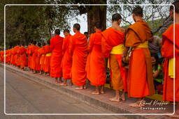 Luang Prabang Limosnas a los monjes (208)