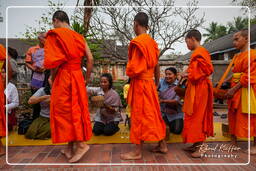 Luang Prabang Aumône aux moines (213)