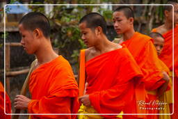 Luang Prabang Almosen für die Mönche (226)