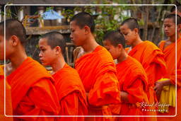 Luang Prabang Almosen für die Mönche (230)