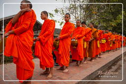 Luang Prabang Elemosina ai monaci (234)