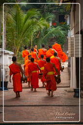 Luang Prabang Aumône aux moines (251)