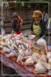 Marché de Luang Prabang (26)