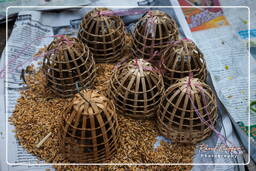 Marché de Luang Prabang (34)