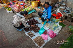 Mercato di Luang Prabang (53)