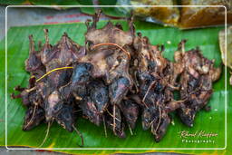 Luang Prabang Markt (64)