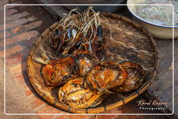 Mercado de Luang Prabang (78)