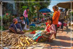 Luang Prabang Market (125)