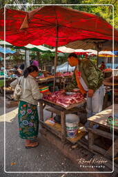 Mercato di Luang Prabang (176)